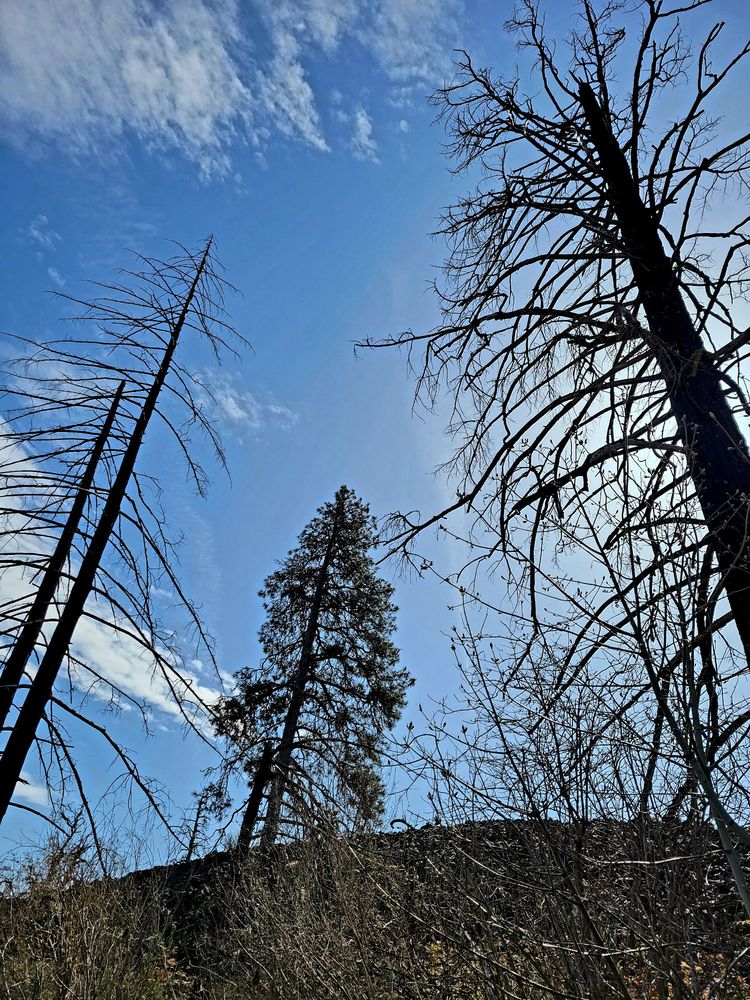 Historic Columbia River Highway State Trail Logo