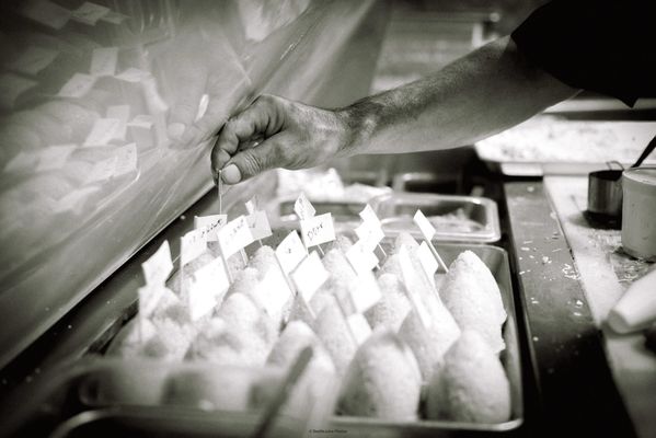 Amici-Chicago by null