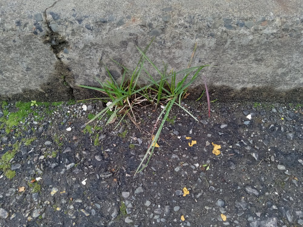 Inlet Tower Hotel & Suites