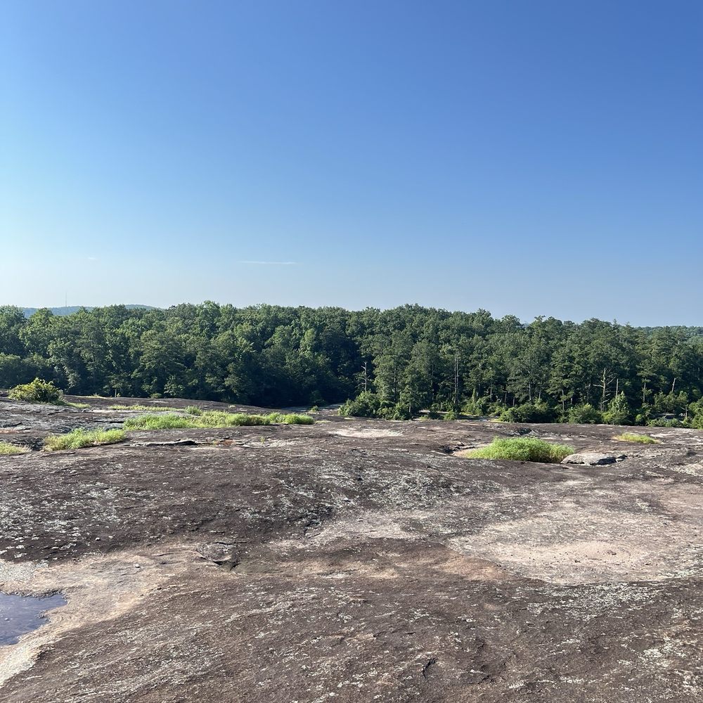 Arabia Mountain Trail - Climbing Near Me - Lithonia, Georgia Arabia Mountain Trail - Climbing Near Me - Lithonia, Georgia