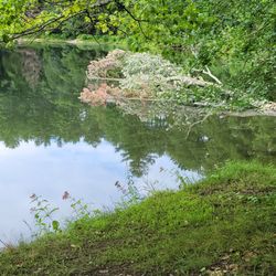 Rivers Bend Campground