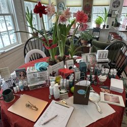 This concierge practice takes place in Dr. Carol's beautiful home in Reading.