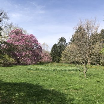 Tyler Arboretum - Summer Camps Near Me - Media, Pennsylvania