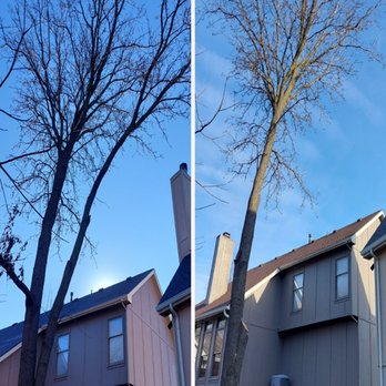 Tony's Tree Services & Hauling - Firewood Near Me Tony's Tree Services & Hauling - Firewood Near Me