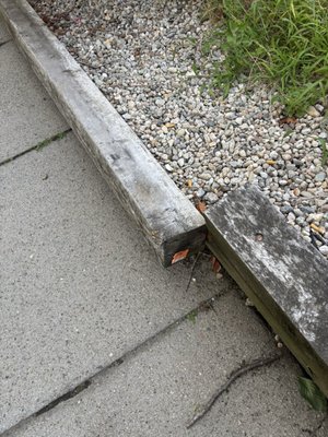 The Samia Companies LLC