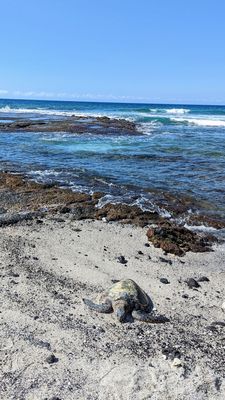 Holoholokai Beach Park Rd by null