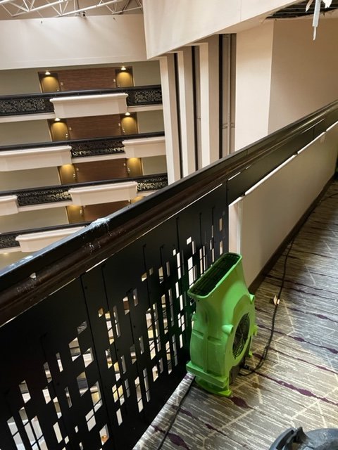 G3 Environmental - mold inspector in Tucson, AZ