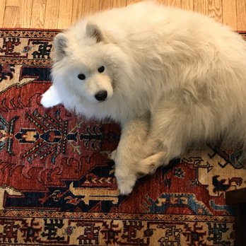 Nomad Rugs - Samoyed-approved rug - Home Decor Near Me - San Francisco, California Nomad Rugs - Samoyed-approved rug - Home Decor Near Me - San Francisco, California