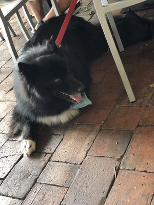 Lime Fresh Mexican Grill by null