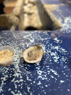 Lee & Rick's Oyster Bar by null