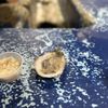 Lee and Ricks Oyster Bar gift card