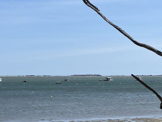 The Raw Bar at Island Creek Oyster Farm by null