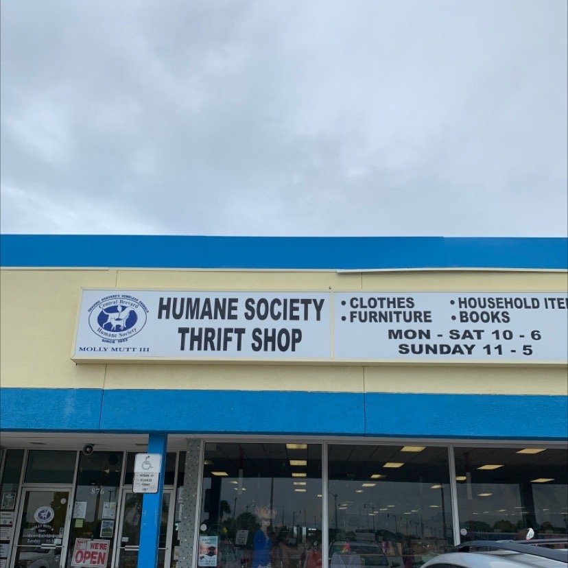 MOLLY MUTT III THRIFT SHOP Updated October 2024 17 Reviews 876 US