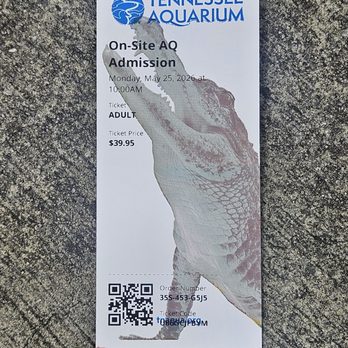 Tennessee Aquarium - Aquariums Near Me - Chattanooga, Tennessee