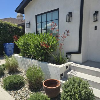 Gold Pine Tree Service - Tree Services Near Me - Pacoma, California