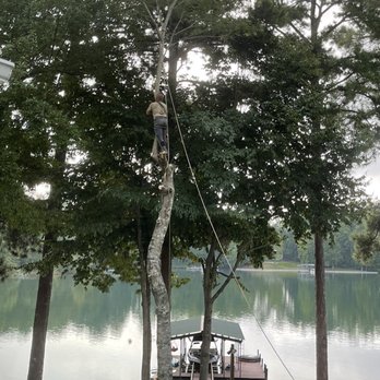 Economy Tree Service - Tree Services Near Me - Westminster, South Carolina Economy Tree Service - Tree Services Near Me - Westminster, South Carolina