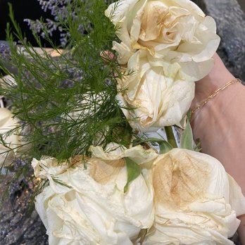 Wild Orchid Florist - Less than 2 days after having the expensive arrangement. - Florists Near Me - Tulsa, Oklahoma Wild Orchid Florist - Less than 2 days after having the expensive arrangement. - Florists Near Me - Tulsa, Oklahoma
