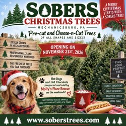 Sober's Christmas Tree