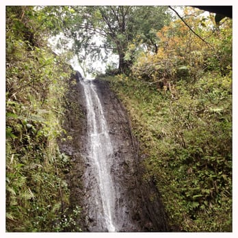 Ka'au Crater - Aloha Waterfall! :) - Hiking Near Me - Honolulu, Hawaii Ka'au Crater - Aloha Waterfall! :) - Hiking Near Me - Honolulu, Hawaii