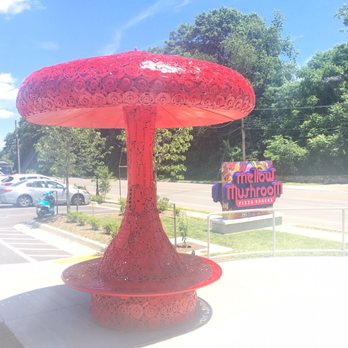 Mellow Mushroom Roanoke - Pizza Near Me - Roanoke, Virginia
