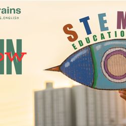 Bright Brains