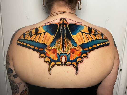 The Black Lantern by null