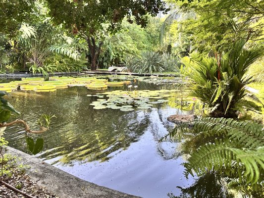 Miami Beach Botanical Garden by null