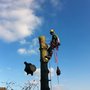 Photo of 3D Craft Tree Services