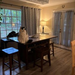A 1 Cleaning and Home Help - Clean & shiny floors in the breakfast area. Kitty approves!