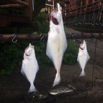 Island Point Lodge - 73 lbs in the middle! - Fishing Near Me - Wrangell, Alaska