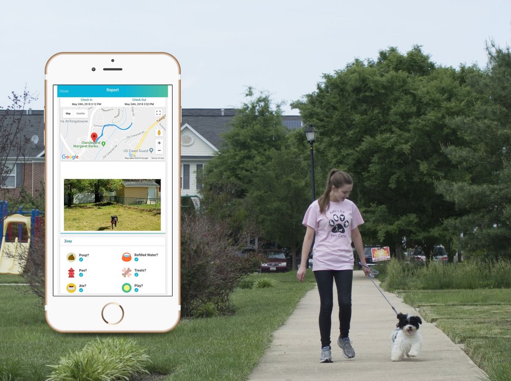 KATE’S K9 PET CARE 3101 N Hampton Dr, Alexandria, Virginia Dog