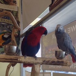 Pet Foods Plus - Paco, Candy, Chico