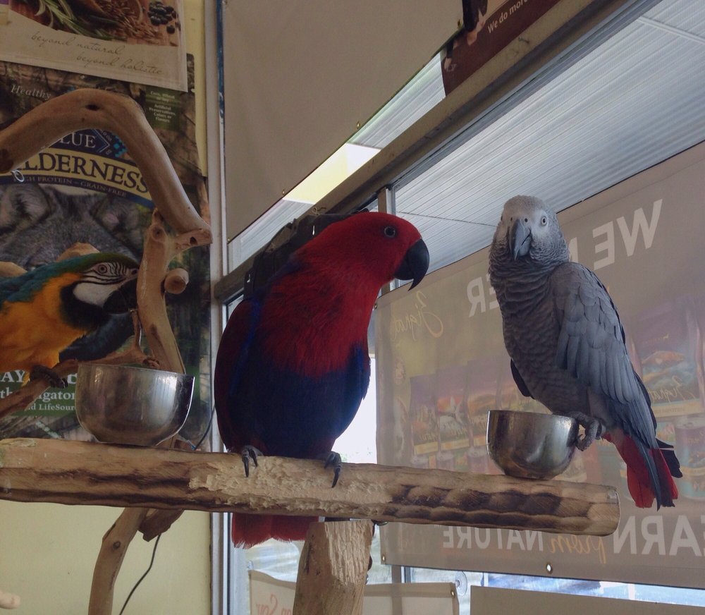 PET FOODS PLUS Updated July 2024 10 Reviews 30 Gooding Ave, Bristol, Rhode Island Pet