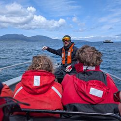 Sidney Whale Watching