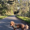 Seaview Trail At Inspiration Point gift card