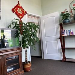Grand Sun Foot Spa
