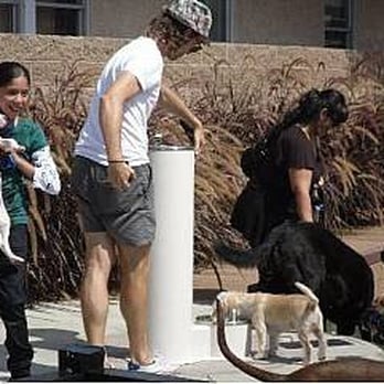 K-9 Corner - Dog Parks Near Me - Long Beach, California K-9 Corner - Dog Parks Near Me - Long Beach, California