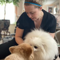 Toronto Veterinary Rehabilitation Centre - Dr. Sarah