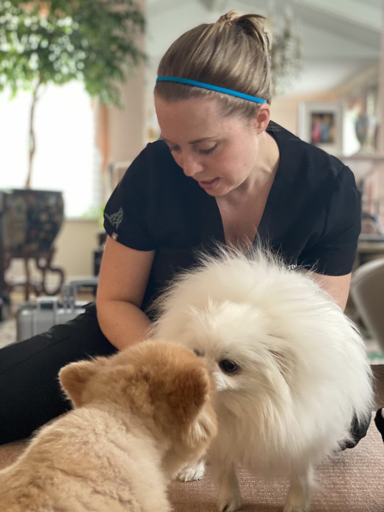 TORONTO VETERINARY REHABILITATION CENTRE Updated October 2024 1735