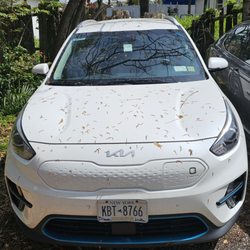 Avis Rent a Car
