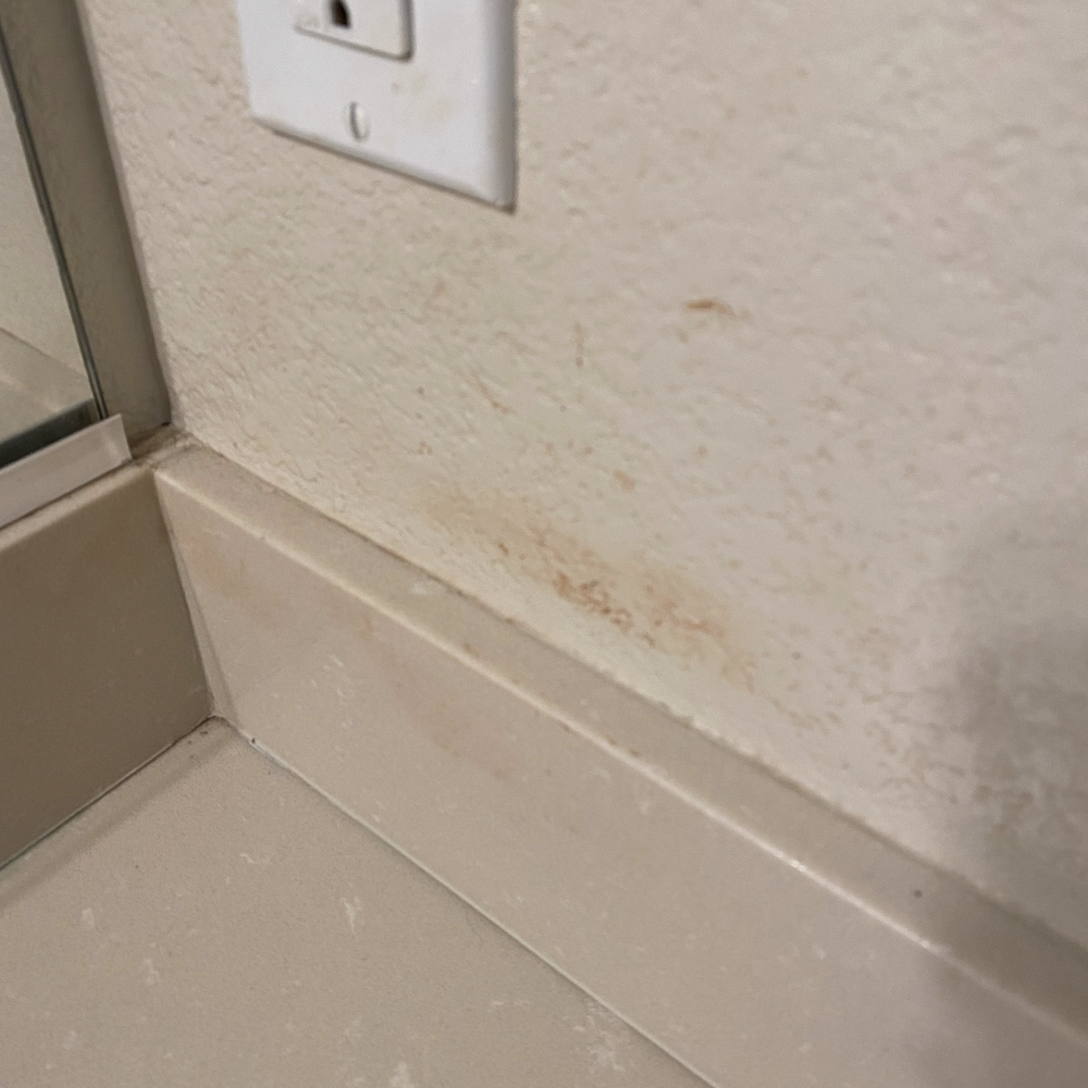 Sunshine House Cleaning Services - Home Cleaning Near Me
