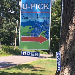 Norland Berries
