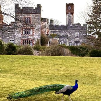 Ruthin Castle - Pubs Near Me - Mold, FLN