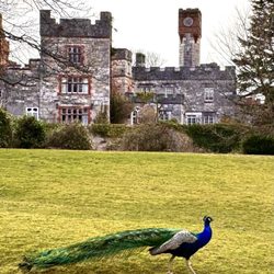Ruthin Castle