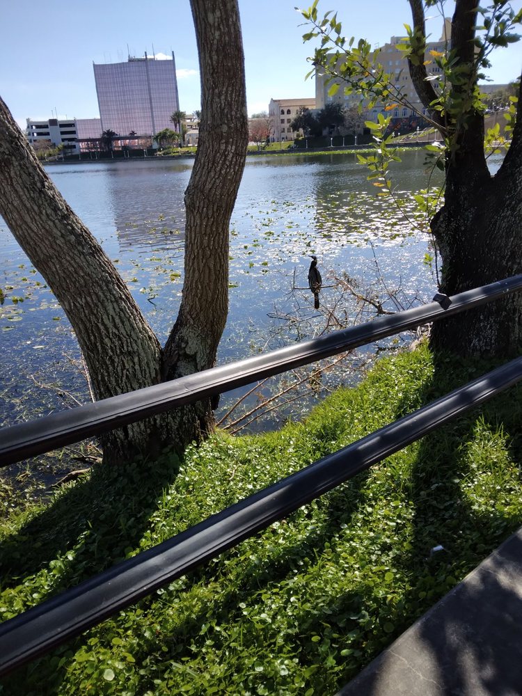 Allen Kryger Park Image