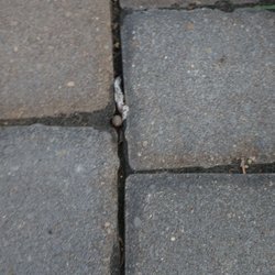Walker Landscaping - Terrible Quality. Terrible customer experience!