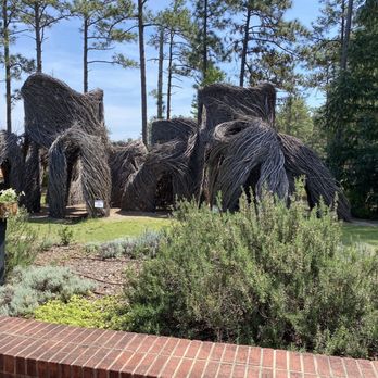 Sandhills Horticultural Gardens - Botanical Gardens Near Me - Pinehurst, North Carolina Sandhills Horticultural Gardens - Botanical Gardens Near Me - Pinehurst, North Carolina