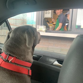 Starbucks - Our grandpup ordering his pupappuccino - Coffee & Tea Near Me - Tuscaloosa, Alabama