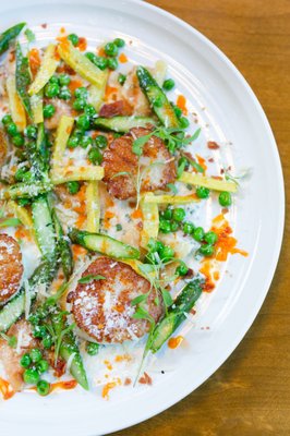 The Lime Lite by null