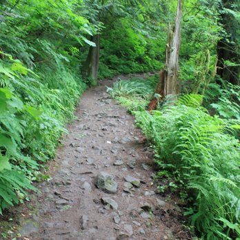 Latourell Falls - The path - Hiking Near Me - Portland, Oregon Latourell Falls - The path - Hiking Near Me - Portland, Oregon